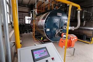 甘肅生物科技公司WNS4-1.25-Y（Q）項目